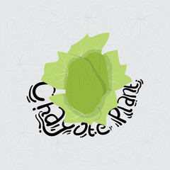 Green Chayote plant vector illustration with hand drawn text design for vegan template design