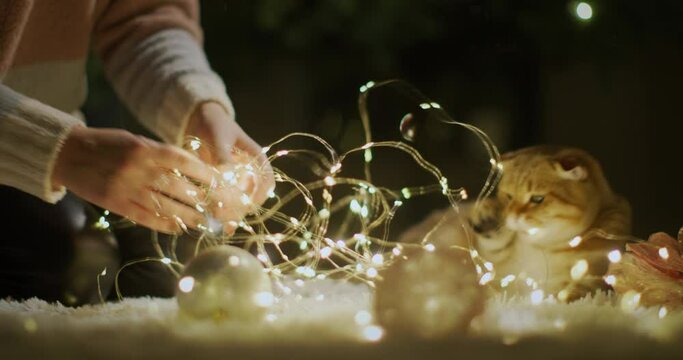 A woman untangles garlands, preparing for the meeting of Christmas and the New Year. A red cat is sitting next to her.