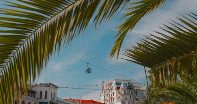 Sunny Autumn Day. Colorful View Through Palm Tree Leaves On Cableway Argo Cable Car In Batumi, Adjara, Georgia. Bright Blue Sky.