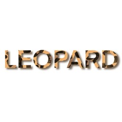 Leopard Word Isolated On A White Background Hand Drawn Illustration	