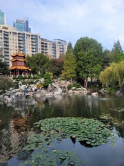 Woman watching the koi pond in a Chinese garden