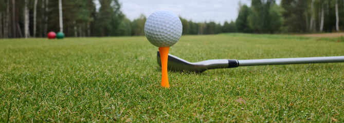 Golf club and ball in grass concept
