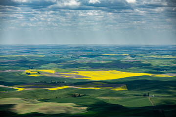 landscape of distant rain over green and yellow fields