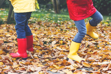 Two little children playing in red and yellow rubber boots in autumn park in colorful rain coats and clothes. Closeup of kids legs in shoes dancing and walking through fall autumnal leaves and foliage