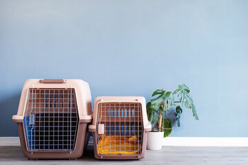 Plastic pet carrier or pet cage and yellow suitcase on the floor at home, copy space