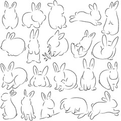 いろんなポーズのウサギ
