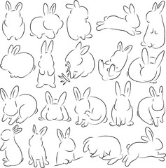 いろんなポーズのウサギ
