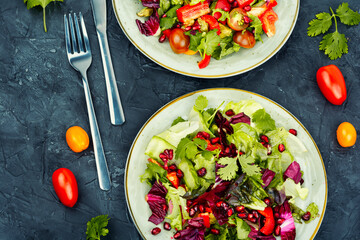 Plate with green vegan salad