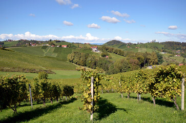 Fototapeta na wymiar Austria, Styria, Styrian Wine Route