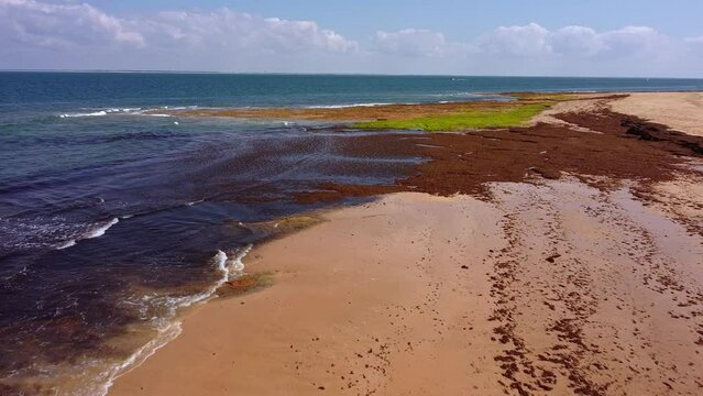Vue a&eacute;rienne d'un paysage de bord de mer avec des algues et des varechs de diff&eacute;rentes couleurs, la cam&eacute;ra est de plus en plus en altitude
