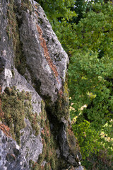 Grand bloc erratique , autel celtique,borne frontière