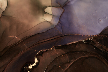 Natural  luxury abstract fluid art painting in alcohol ink technique. Tender and dreamy  wallpaper. Mixture of colors creating transparent waves and golden swirls. For posters, other printed materials © Vex Ryder