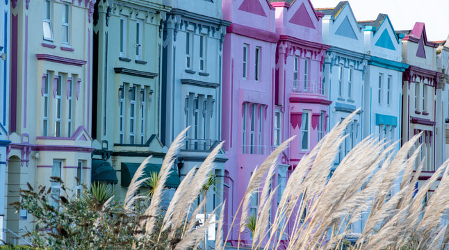 Brightly colored row of hotels and guest houses. Pink, blue, green and brown painted buildings with a foreground of softly focused reeds. Seaside accommodation image. Bright and colourful. 