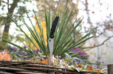 Folding knife gray cutting stainless blade black handle green grass blue flowers wood macro...