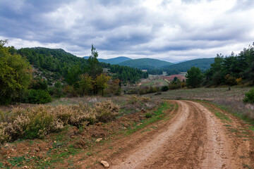Fototapeta na wymiar Rural road in autumn mountain and colorful trees on slopes.