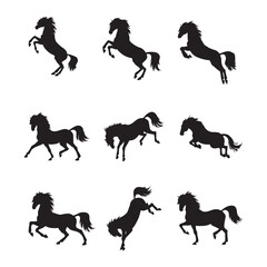 Set black silhouette of horse. Vector wild animal illustration.