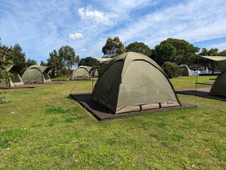 Tents set up in a campsite on Cockatoo Island, in the harbour at Sydney, NSW, Australia. - obrazy, fototapety, plakaty
