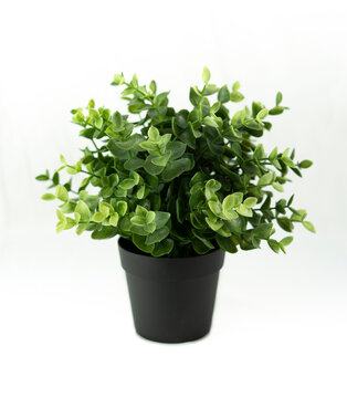 Plastic Plant 4