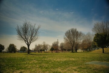 Obraz premium 田舎の公園