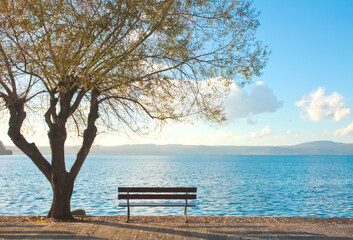 Fototapeta na wymiar Empty bench and tree with lake sight