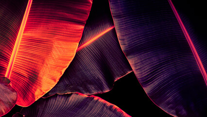 tropical leaf background, glow in the dark color toned
