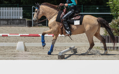 Horse Western pony with rider jumping over a pole, text box below..