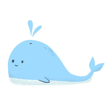 cute whale in the ocean