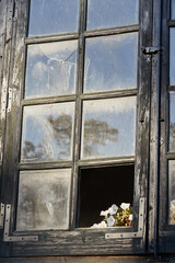 Greenhouse window with white flowers appear through a hole.