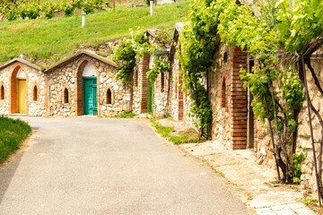 Traditional Wine Cellars - Vrbice, Czech Republic, Europe