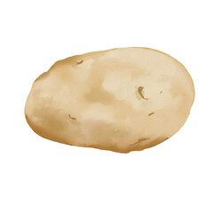 Watercolor food illustration of potato veggie