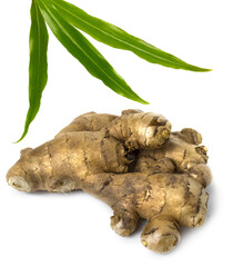 ginger rhizome with  green leaves isolated on white background.