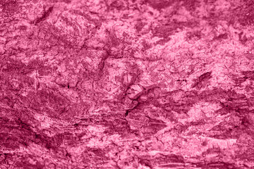 Viva magenta natural background. Texture of the bark of an old brown tree close-up with moss