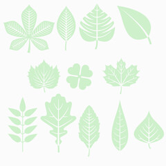 Obraz premium pictures of many green leaves