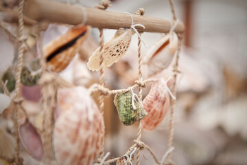 Hanging Shells, Brighton Beach, United Kingdom