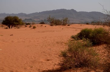 view at 