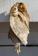 A close-up with hanging dried fish