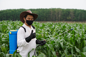 Asian gardener wears black face mask and black gloves, carries sprayer of pesticide at his back and...