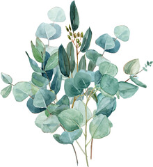 Watercolor eucalyptus bouquets, hand-drawn quality illustrations. Suitable for invitations, cards, weddings, Valentine’s Day