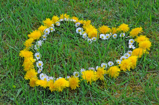 Herz aus Blumen