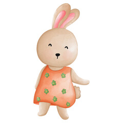 Rabbit character in cute costume, Rabbit Cartoon animal character, Watercolor hand drawn