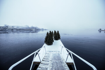 christmas trees on the pier