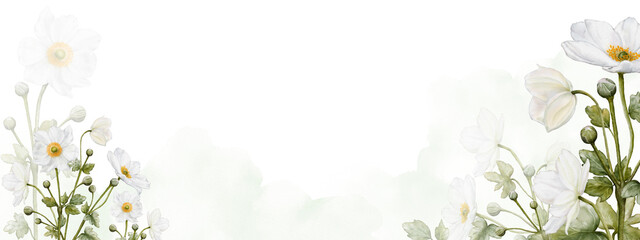 Fototapeta na wymiar Flower blooming watercolor banner background