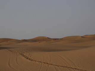 Fototapeta na wymiar Desierto Sahara Arena Camellos