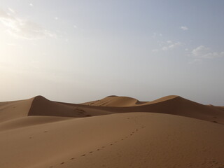 Fototapeta na wymiar Desierto Sahara Arena Camellos