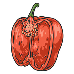 Bell paprika vintage colorful element