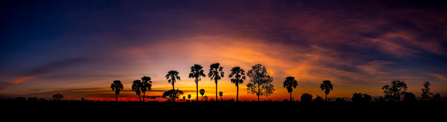 Fototapeta premium Panorama Row of coconut palms, sharply silhouetted against the bold orange, yellow, lavender and blue colors of a tropical sunset in Hawaii,United states.Row of Dark Trees on evening sky background.