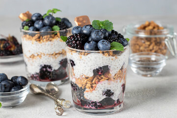 Chia pudding with blueberry and blackberry in two glass on light gray background, Concept of healthy eating, fitness menu