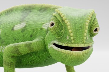 Realistic 3D Render of Flap Necked Chameleon