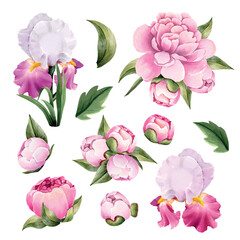 Vector collection of botanical flowers and leaves.