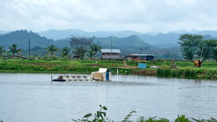 Aerator in a shrimp farm at La Segua wetlands outside of Chone, Ecuador